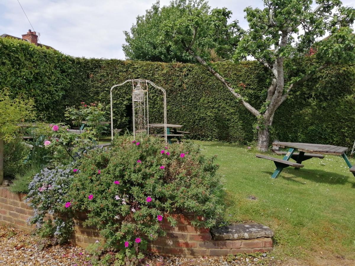 The Willows Shillingstone Exterior foto